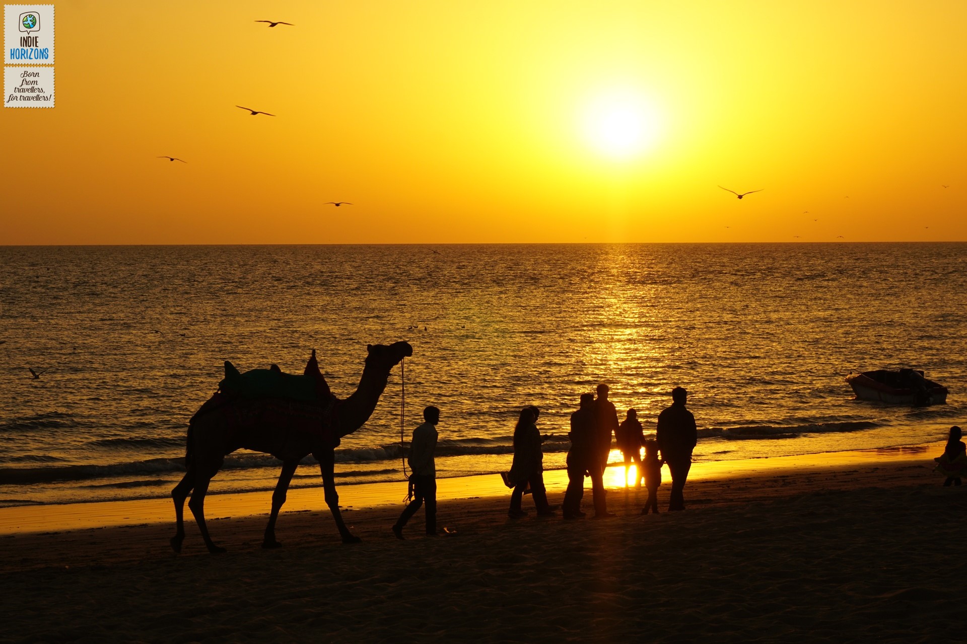 #11. Western India, sunset at Mandvi beach, Gujarat.