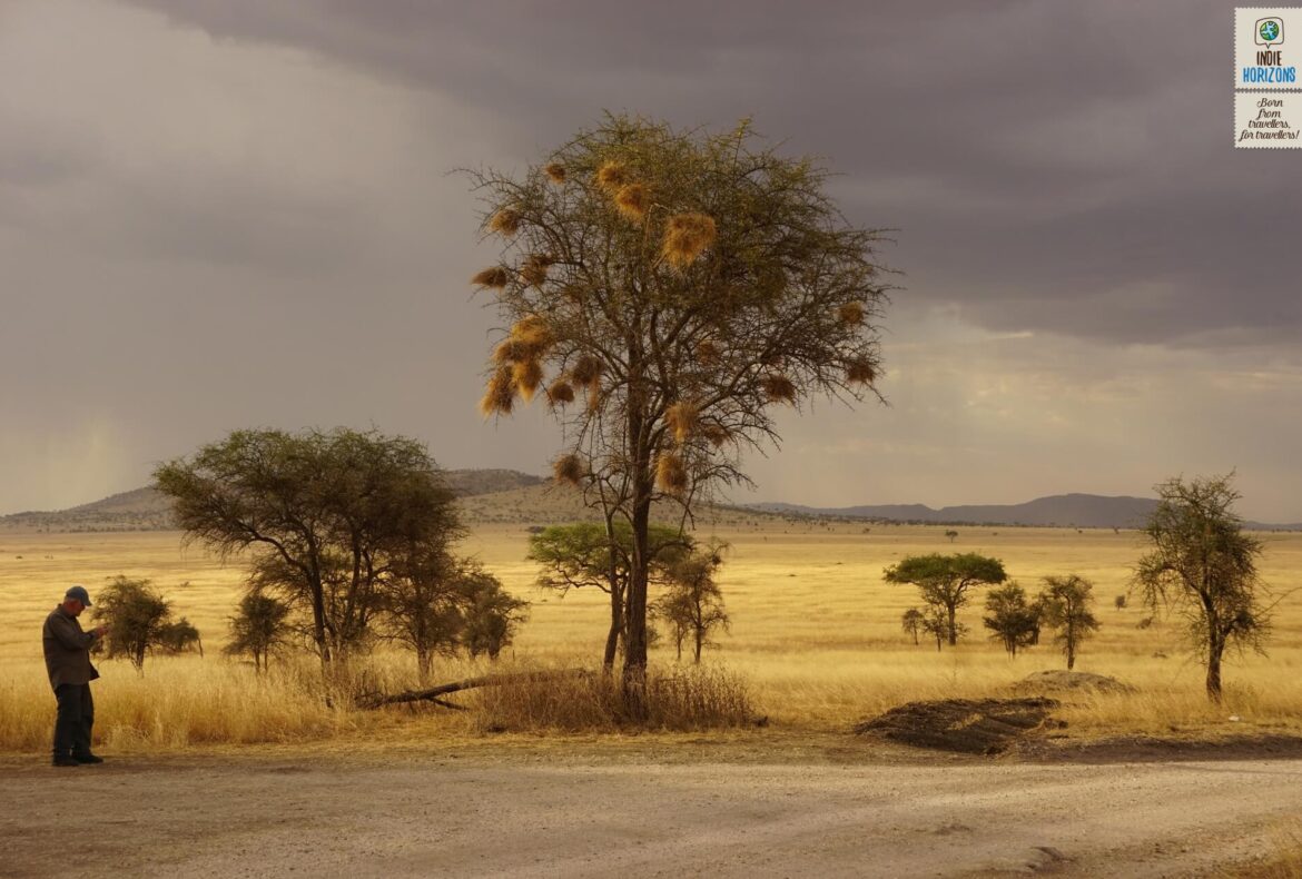 #54. Tanzania, afternoon light at Serengeti National Park