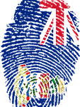 Cayman flag